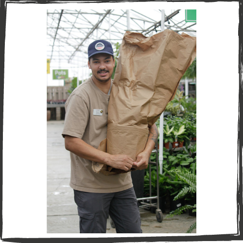 Man of color with a black mustache and narrow beard and wearing a ball cap smiles at camera. He's holding a tall, brown paper probably containing a plant