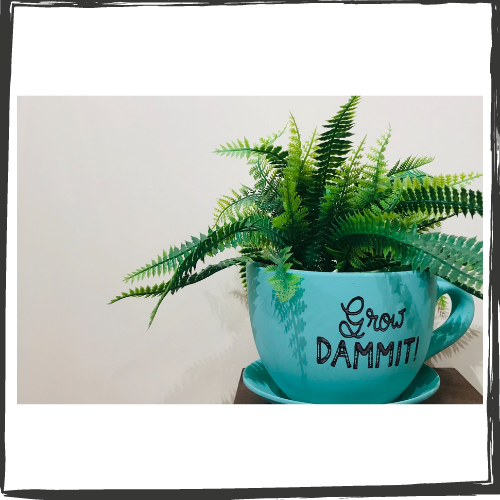 A Boston fern in a large, ceramic, turquoise blue coffee cup with the message, "Grow DAMMIT!" in black letters