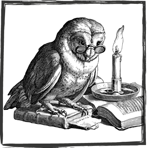 An illustration of an owl wearing spectacles, sitting on a book next to a burning candle