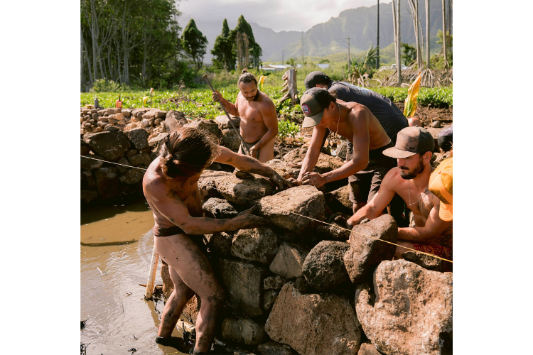 Native Hawaiian practice may stop suicidal ideas and actions